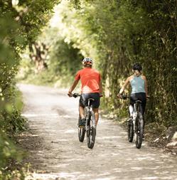 andergassen-web-2301-bike